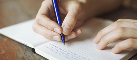 Profesioniști în conversație